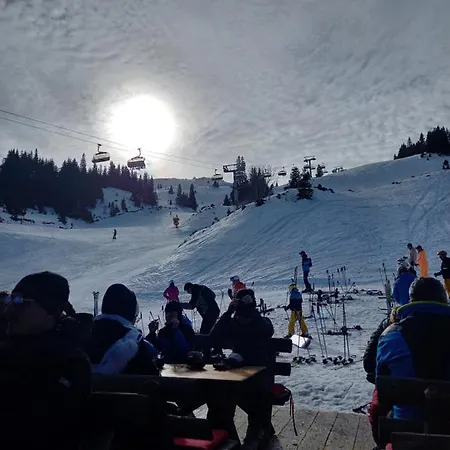 Vanja Viva Apartament *